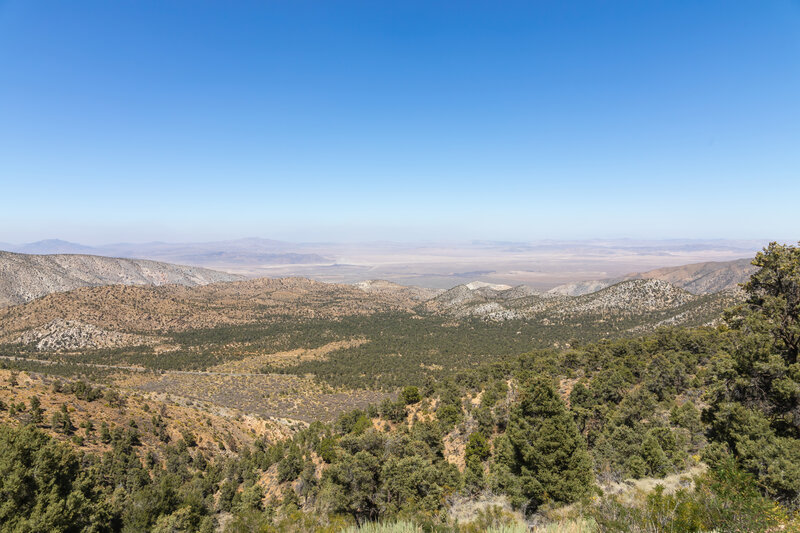 View from the Nelson Ridge.