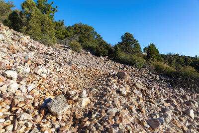 Quartzite along Gold Mountain.