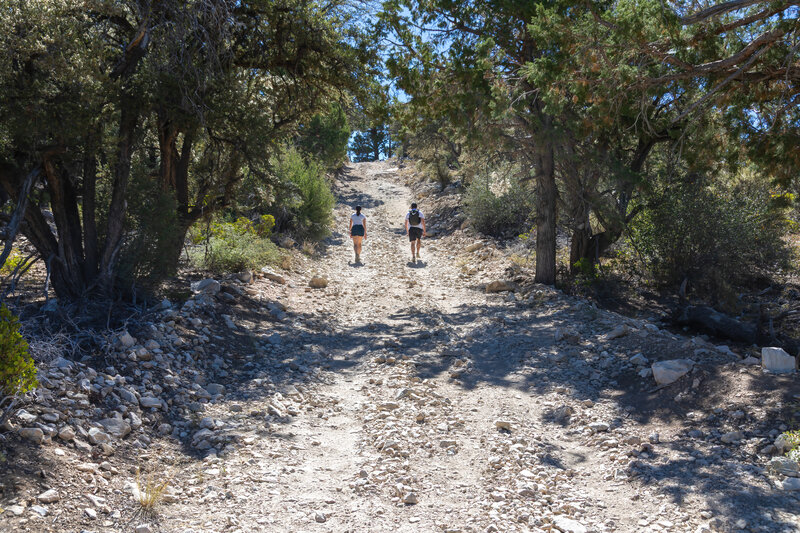 The steep dirt road up Bertha Peak.