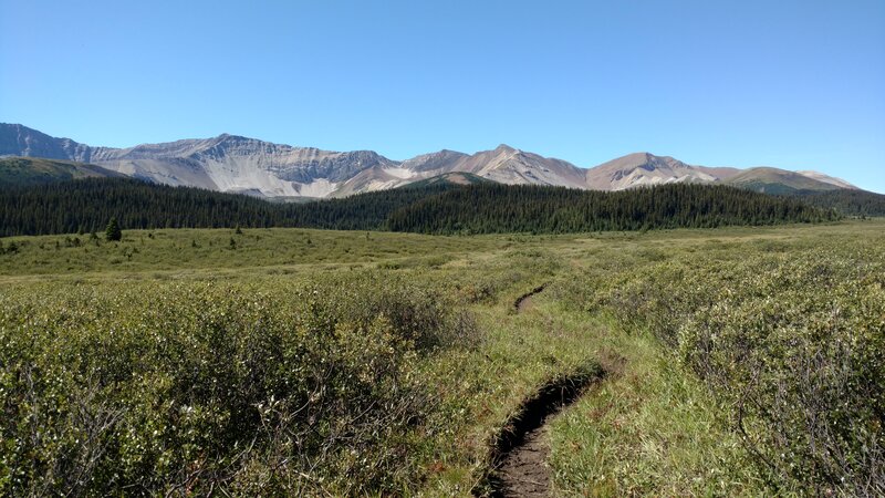 Crossing the expansive Rock Creek meadows, mountains of the Starlight Range are an impressive backdrop to the scene.
