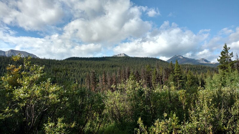 Mountains of the Persimmon Range emerge in the distance, poking up above the nearby forested hills.