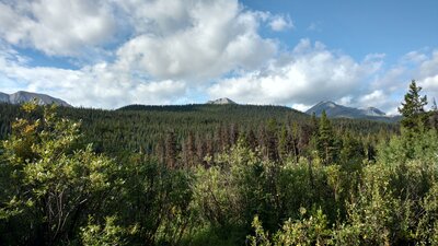 Mountains of the Persimmon Range emerge in the distance, poking up above the nearby forested hills.