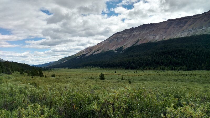 The expansive meadows of the Rock Creek Valley stretch on forever into the distance. The southern end of the Starlight Range rises above the far (southwest) side of this valley.