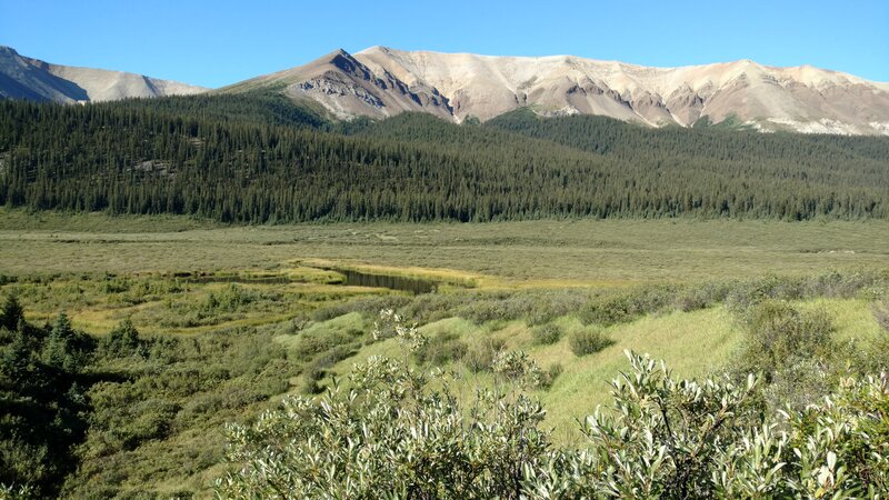 Northern end of the Starlight Range in the distance. Nearby, the expansive willow meadows of the Rock Creek Valley.