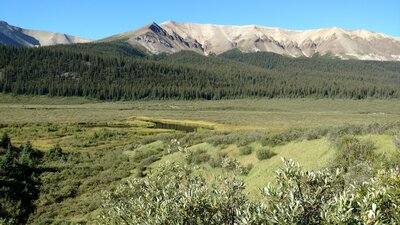 Northern end of the Starlight Range in the distance. Nearby, the expansive willow meadows of the Rock Creek Valley.