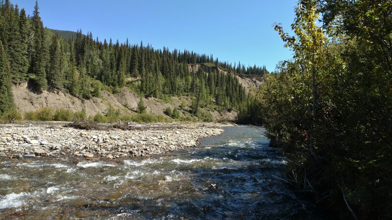The Wildhay River crossing, is not so wild in late August. The real action is in early summer with all the snow melt.