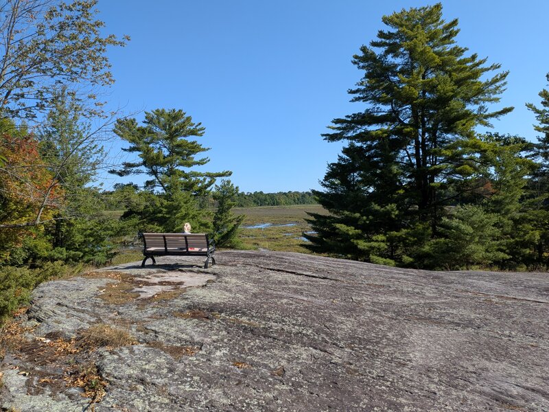 Rest area on Canadian Shield overlooking wetlands.
