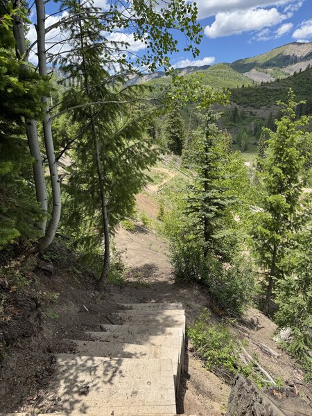 Hand-built steps add to the features on this trail.