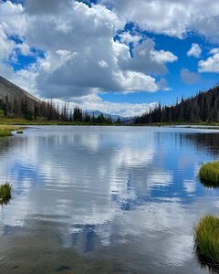 Treeline before Chalk Creek Pass