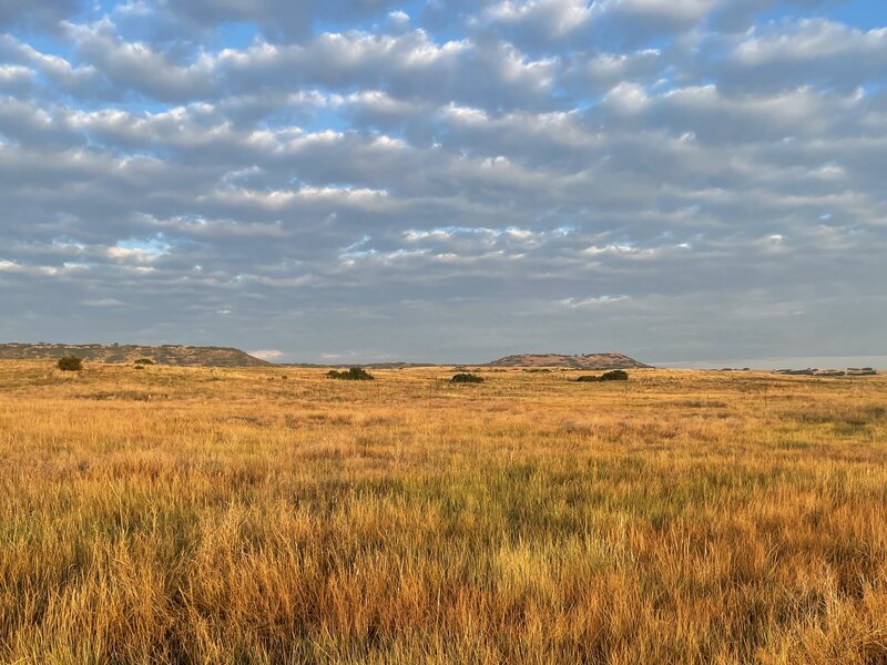 Grasslands heading up to the mesa top.