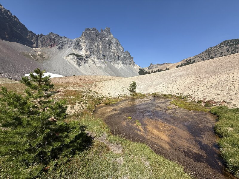 Headwaters of the spring, approx 200' before the falls.