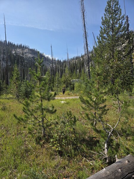 Looking south up to the saddle.