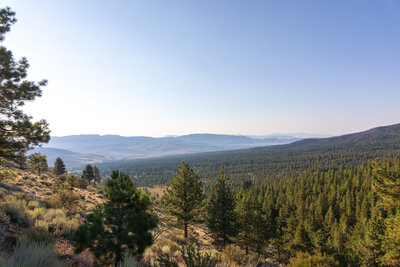 Looking across the Washoe City valley.