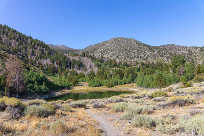 Church's Pond with Church Peak in the background.
