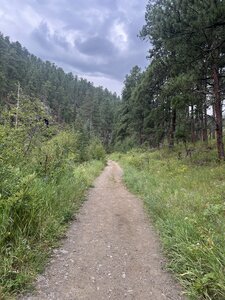 Wide, flat trail walking towards Sheridan Lake.