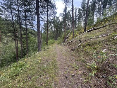 Equestrian Trail, part of the Centennial Trail, looping back down to Flume Trail.