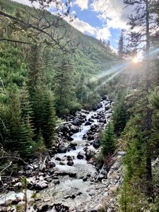 Looking up Armstrong Creek.