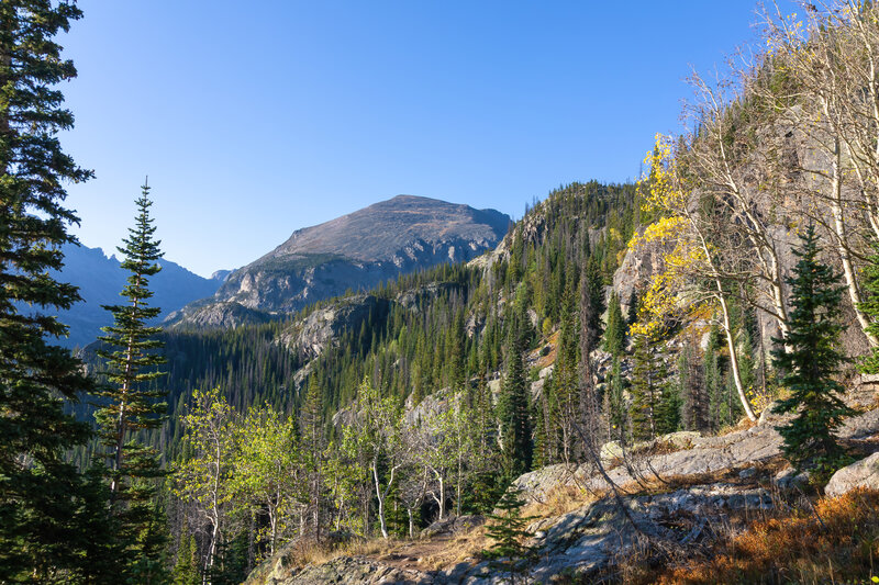Yellow aspen trees along Emerald Lake Trail with Thatchtop in the distance.