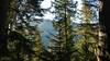 Nice view through the cedars of the Shedroof Divide to the west, in this thick, old growth forest.