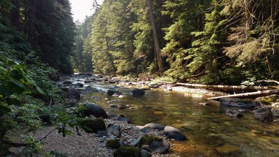 Upper Priest River flowing downstream on a sunny September morning.