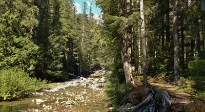 Upper Priest RiverTrail runs along the banks of a low Upper Priest River in September, near the Falls - Upper Priest Falls AKA American Falls.