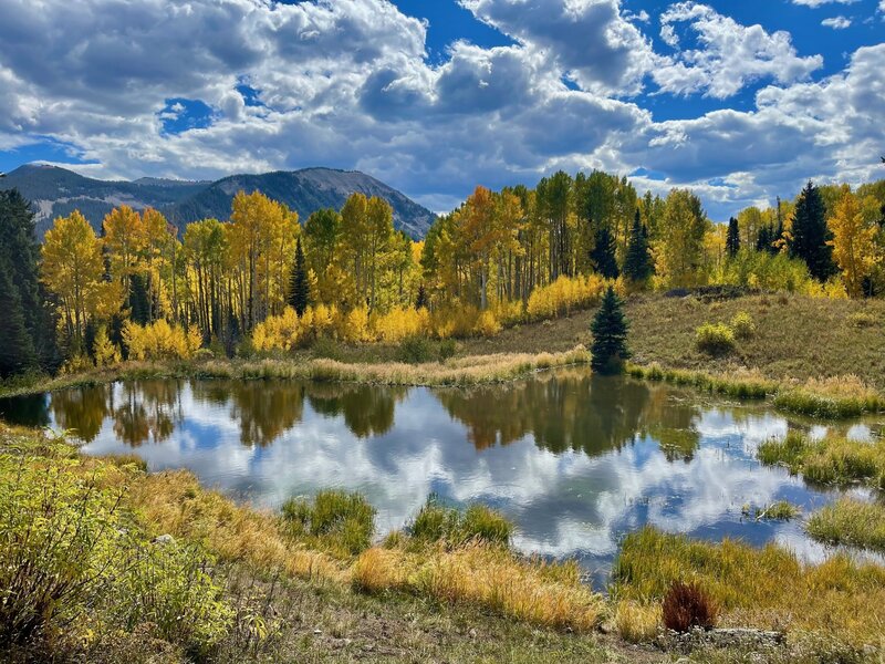 Beaver Ponds on Breckwith Bench