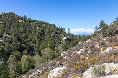 Holcomb Creek
