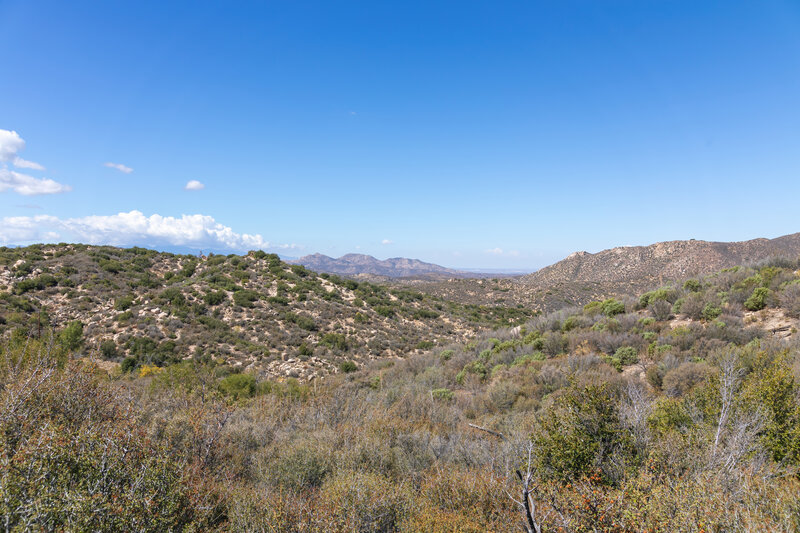 South of Holcomb Creek, looking north.