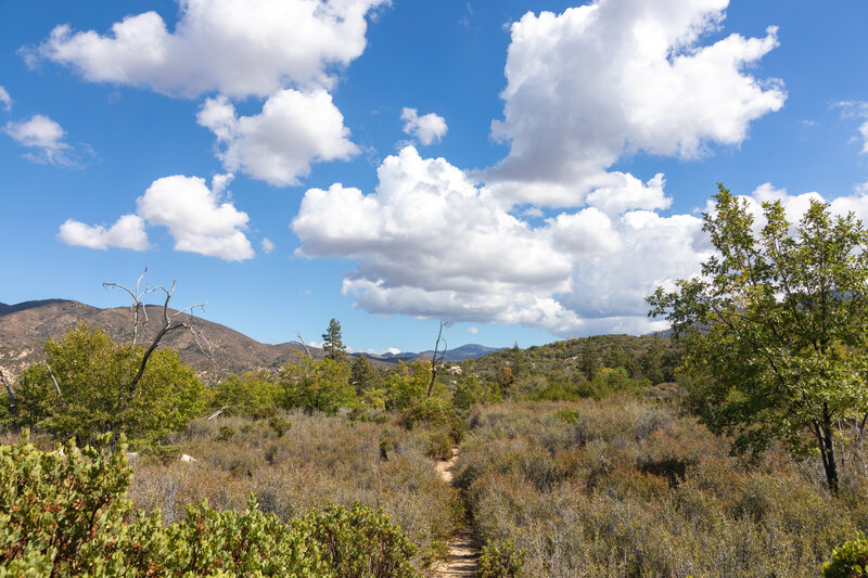 Looking back east towards Delamar Mountain.