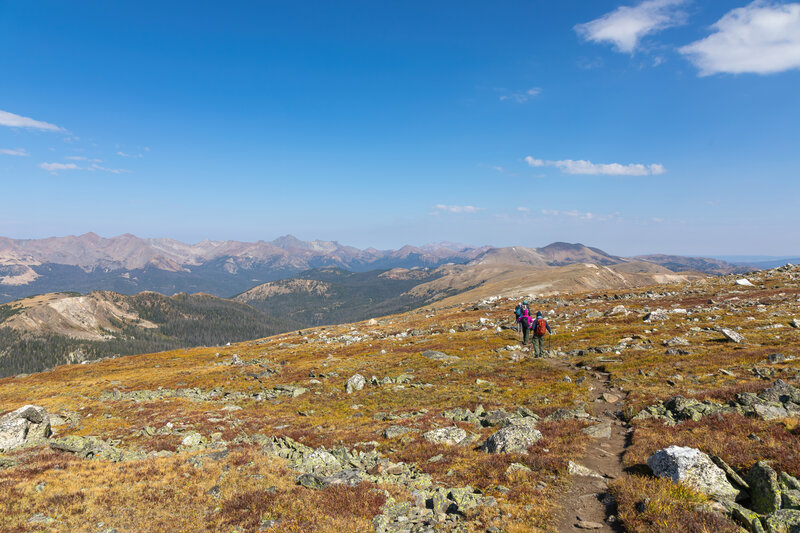 Rocks and grass on the tundra along the Continental Divide.