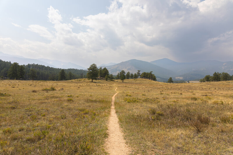 Entering Upper Beaver Meadows