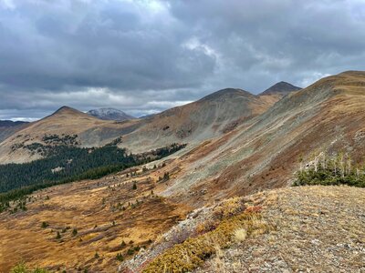 Near Cottonwood Pass
