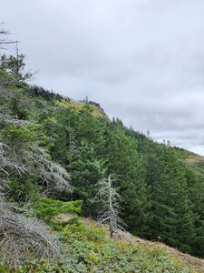 View of the lookout point from partway down the descent - feels so far away suddenly!