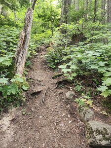 The beginning of Heartbreak Ridge.
