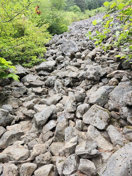 Looking up the boulder field.
