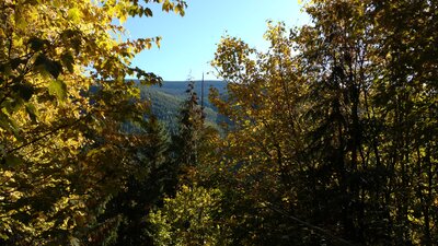 Forested hills on the far side of the Pack River Valley, are seen through breaks in the trees near the start of Chimney Rock Trail.