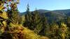 Roman Nose Peak, 7,260 ft., (center right) is seen in the distance to the northwest, on a perfect October morning. The Pack River (not seen) runs in the nearby valley below Chimney Rock Trail (left).