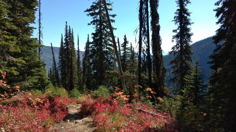 Looking back down the trail, vivid red fall foliage is everywhere along the trail. Mountain views in the distance on the far side of the Pack River Valley (left), and closer on the far side of the West Branch of the Pack River Valley (right).