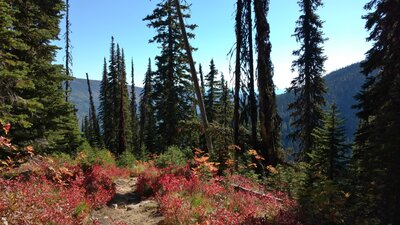 Looking back down the trail, vivid red fall foliage is everywhere along the trail. Mountain views in the distance on the far side of the Pack River Valley (left), and closer on the far side of the West Branch of the Pack River Valley (right).