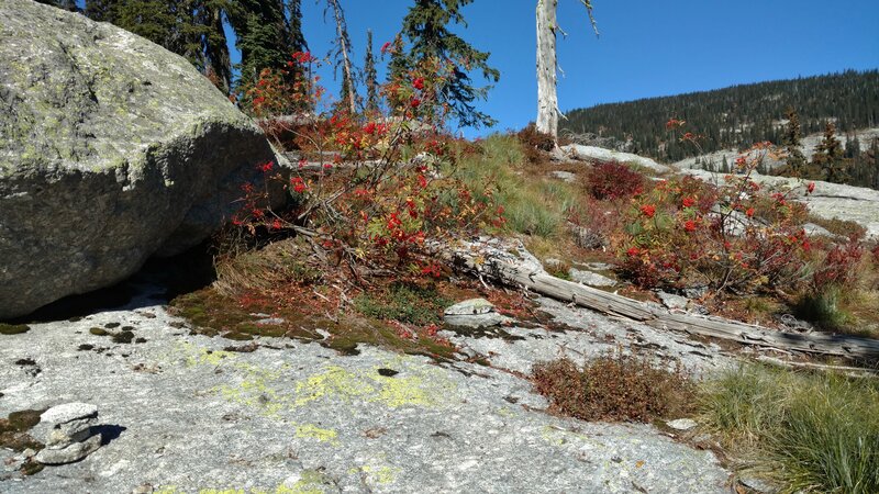 The beginning of the rock slabs as the trail climbs high. Watch for cairns (bottom left) to stay on track on the rock slabs.