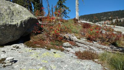 The beginning of the rock slabs as the trail climbs high. Watch for cairns (bottom left) to stay on track on the rock slabs.