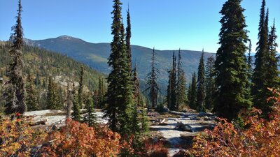 Roman Nose Peak (left) and the forested ridge on the far side of the Pack River valley, are all in the distance. Close by on the left, is the ridge on the far side of the Chimney Creek valley. Looking east from high on Chimney Rock Trail.