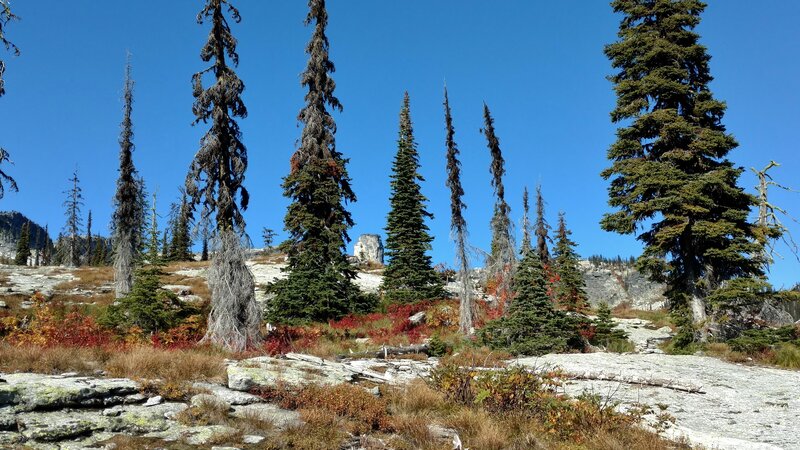 Climbing high over the rock slabs, Chimney Rock (center) emerges to the northwest.