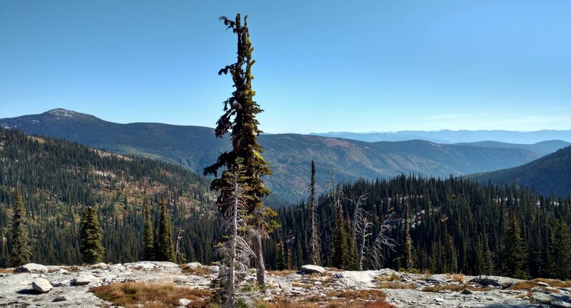 Cabinet Mountains (right) in the far, far distance. Nearer, Roman Nose Peak (left) rises from the ridge on the far side of the Pack River valley. Closer by are forested ridges of two Pack River tributaries. Seen looking east, high on Chimney Rock Trail.