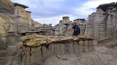 Bisti Badlands. One of the several petrified logs.