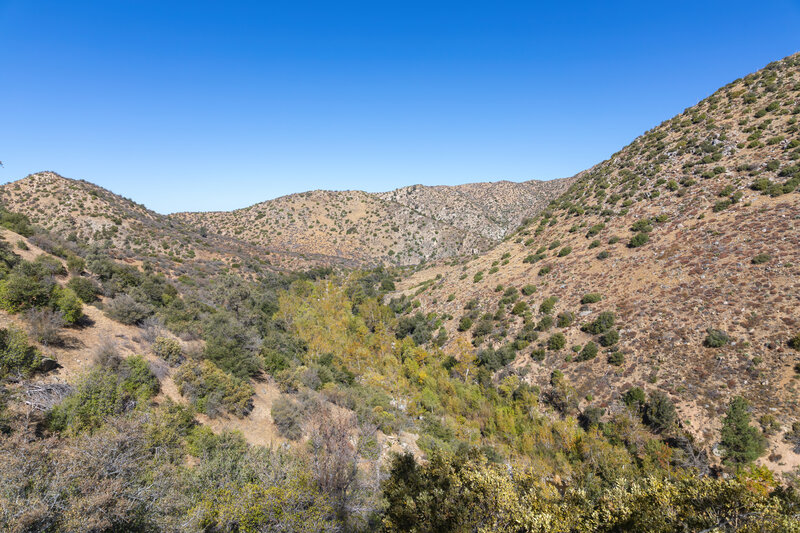 Deep Creek north of Coxey Creek