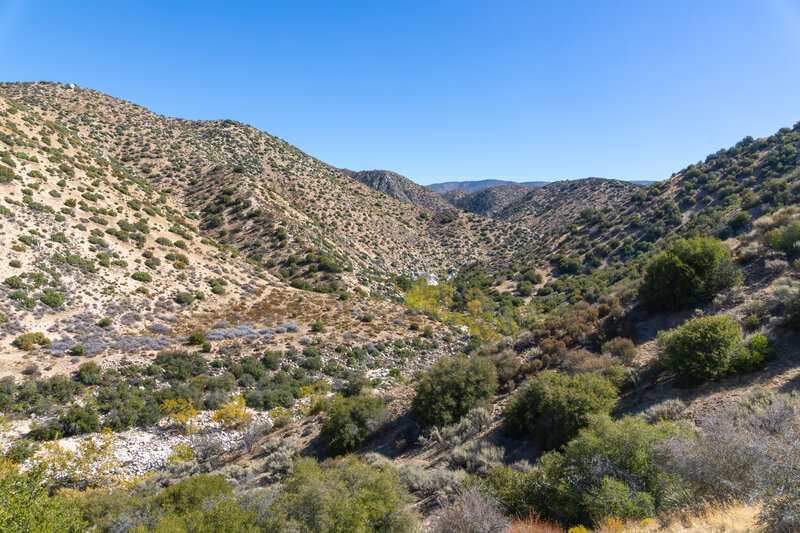 The hills are bare west of Lion Canyon