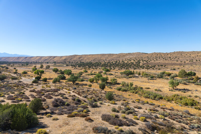 Mojave River Forks, west of the dam.