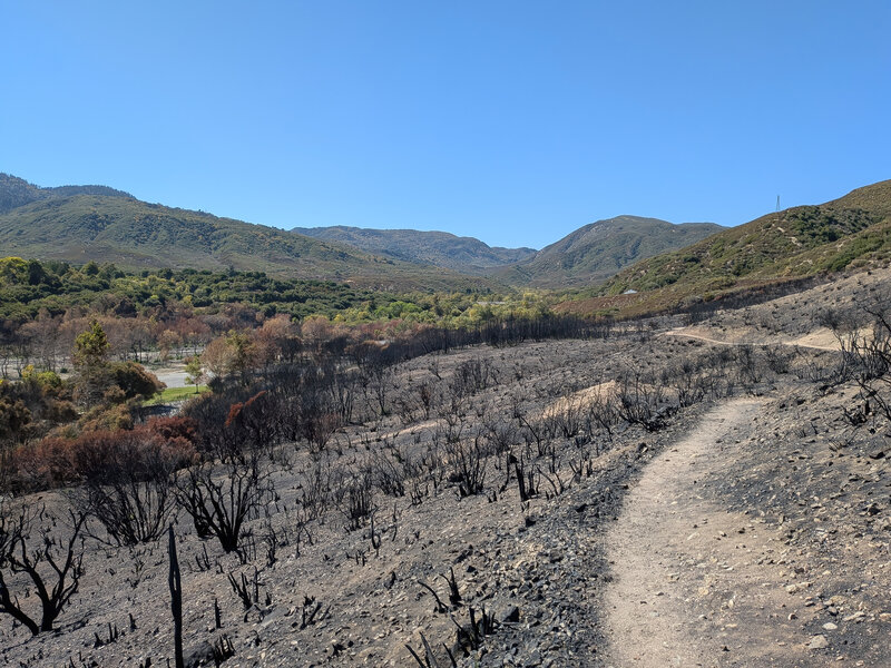 A burn scar from the 2025 Lake Fire.
