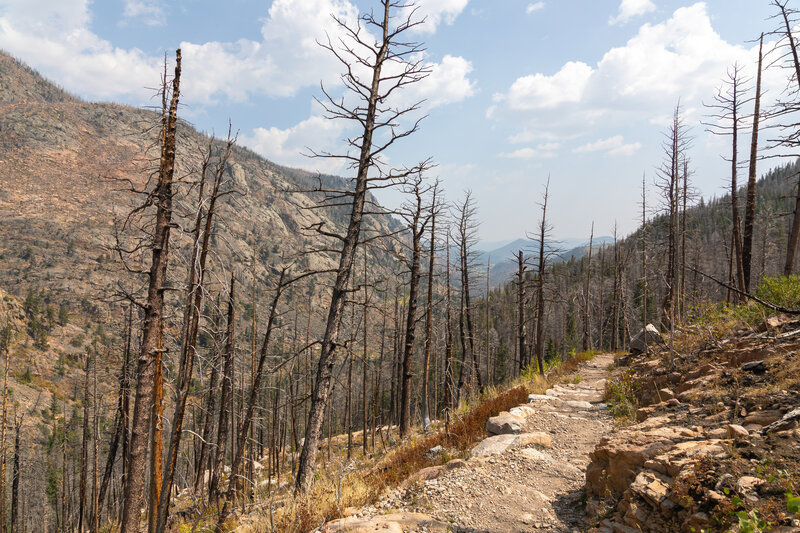 Descending from Fern Lake towards Big Thompson River.